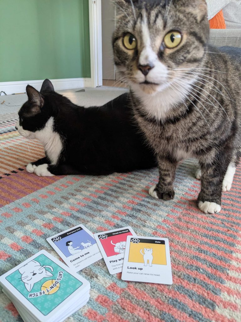 Cat playing Cats Don't Fetch card game